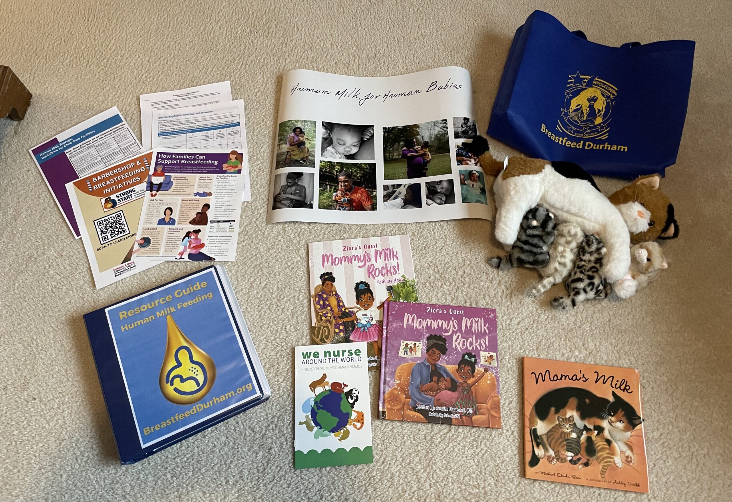 A breastfeeding friendly childcare bundle: books, posters, a nursing cat doll, and a tote bag