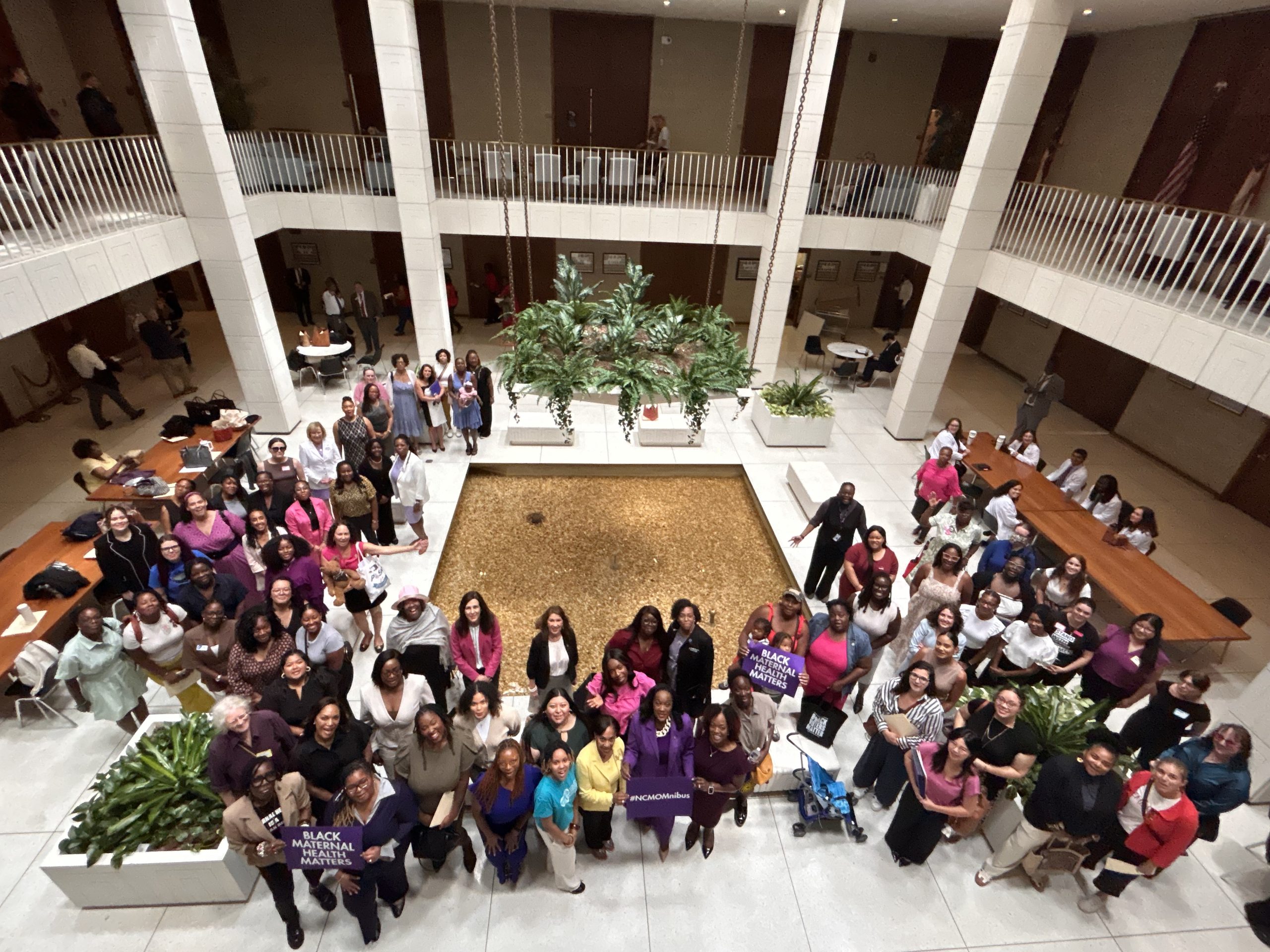 Advocates gathered at the North Carolina General Assembly holding Black Maternal Health Matters signs