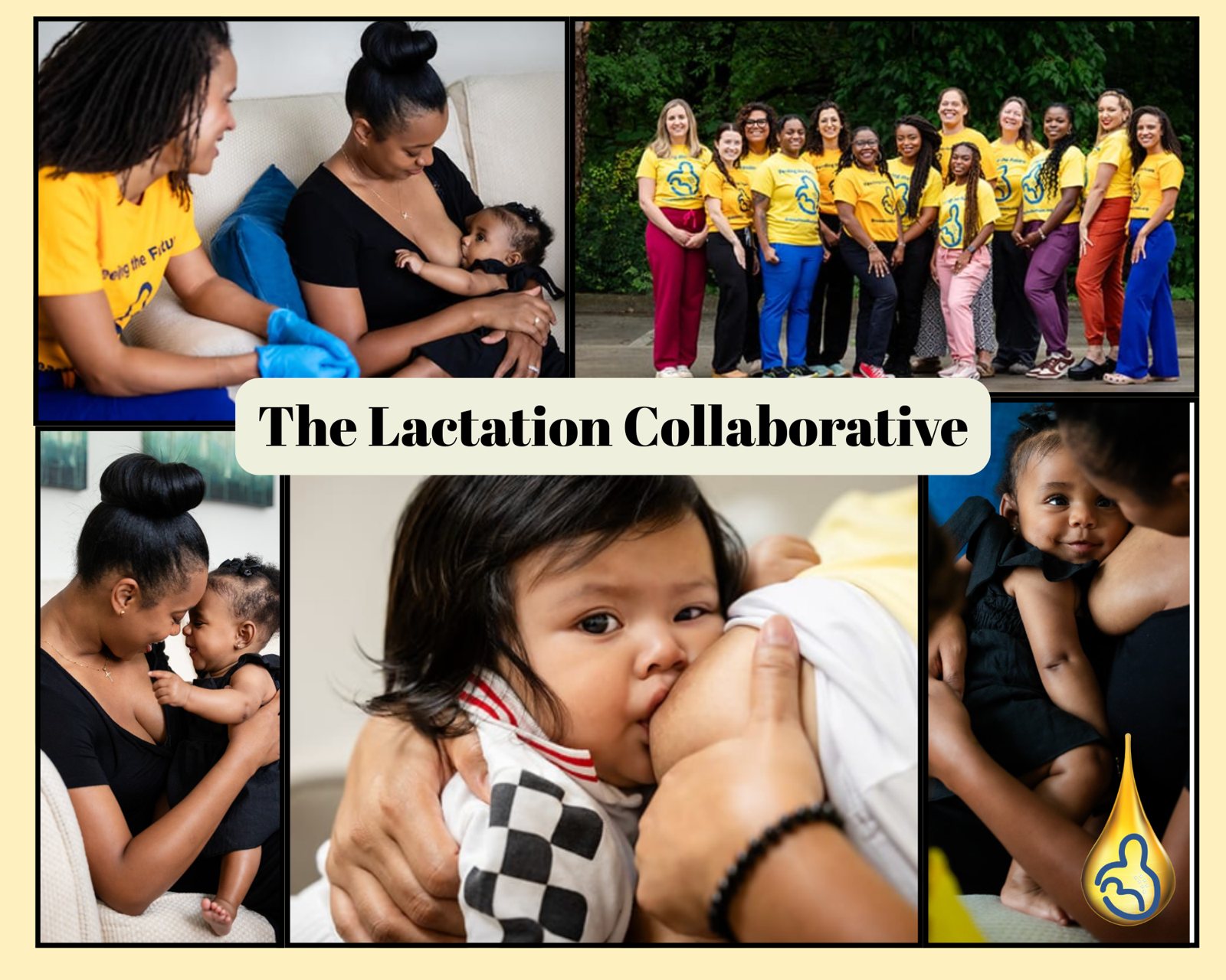 The Lactation Collaborative: volunteer lactation professionals with families