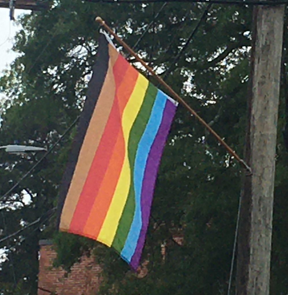 Pride Day flag hanging from street light pole