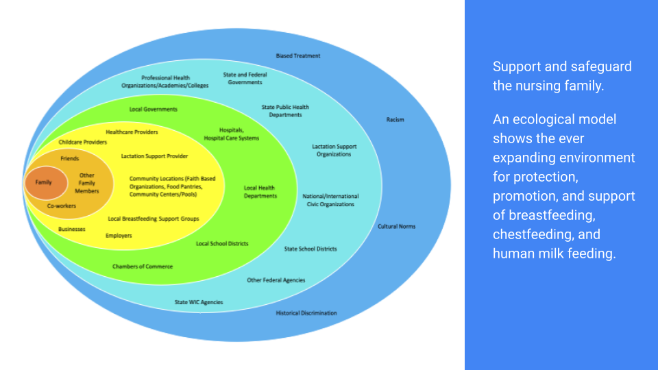 Image of ecological model with family in the left and ever expanding rings of community members with text: Support and safeguard the nursing family. An ecological model shows the ever expanding environment for protection, promotion, and support of breastfeeding, chestfeedng, and human milk feed.